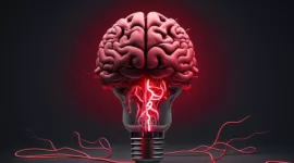 Lima Kebiasaan Harian yang Bisa Ganggu Kesehatan Otak. (Pexels.com/Alexandra_Koch)