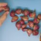 Bawang merah dapat membantu menjaga kesehatan jantung. (Dok. Harianindonesia.com/Banny Rachman)