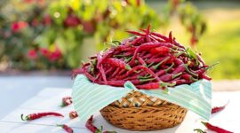 Capsaicin dalam cabai memiliki efek antiinflamasi yang dapat membantu meredakan peradangan dalam tubuh. (Pixabay.com/JillWellington)
