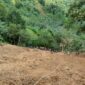 Tanah longsor di Kabupaten Luwu, Sulawesi Selatan. (Dok. BNPB)

