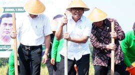 Kepala Badan Pangan Nasional (Bapanas) Arief Prasetyo Adi ikut dalam ‘Gerakan Tanam Jagung’. (Dok. Tim Komunikasi Bapanas)