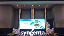 Petani antusias mendengarkan Tracy dari Syngenta saat menjelaskan praktik pengendalian hama tahan jangka panjang. (Dok. Syngenta Indonesia)